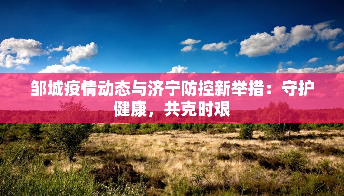 邹城疫情动态与济宁防控新举措：守护健康，共克时艰