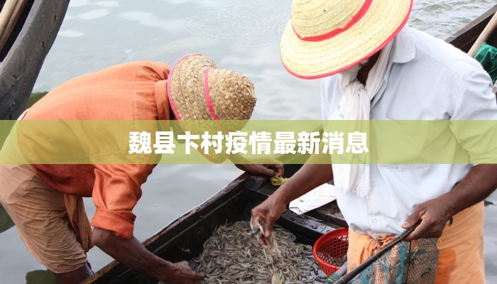 魏县卞村疫情最新消息