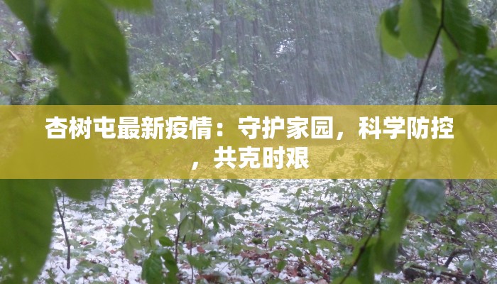 杏树屯最新疫情：守护家园，科学防控，共克时艰