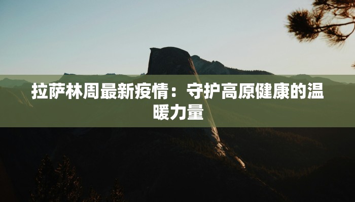 阜新最新疫情防疫：守护健康，筑牢安全防线