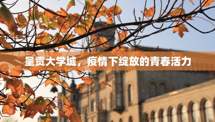 呈贡大学城，疫情下绽放的青春活力