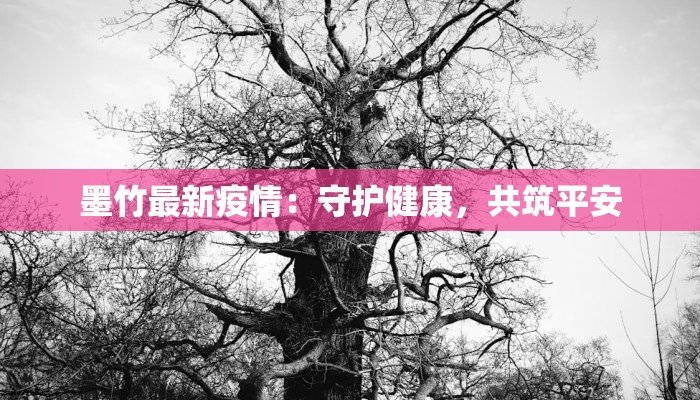 疫情延安最新信息:守护健康,安心前行 疫情延安最新信息:守护健康,安心前行