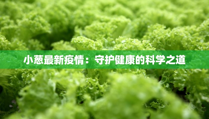 小葱最新疫情：守护健康的科学之道