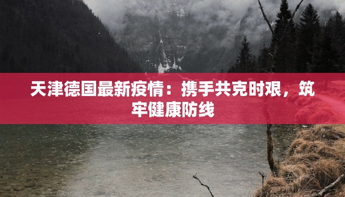 天津德国最新疫情：携手共克时艰，筑牢健康防线