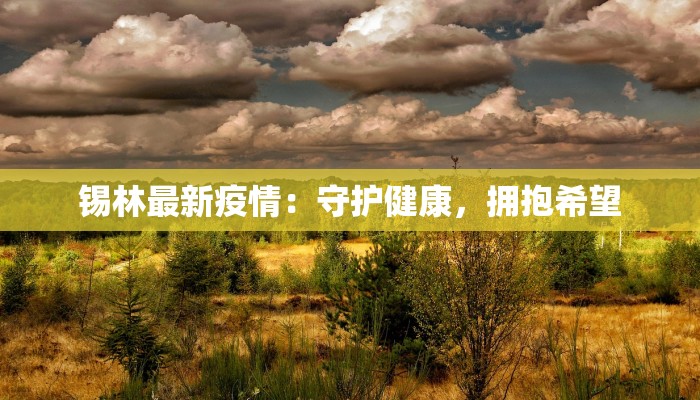 锡林最新疫情：守护健康，拥抱希望