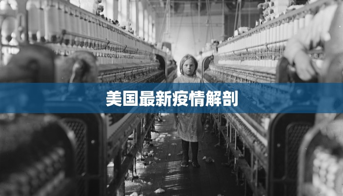 美国最新疫情解剖