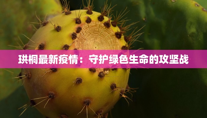 珙桐最新疫情：守护绿色生命的攻坚战