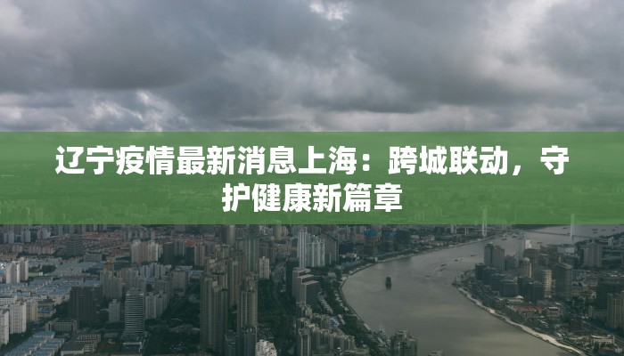 辽宁疫情最新消息上海：跨城联动，守护健康新篇章