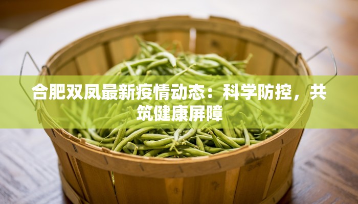 廖村最新疫情：守护家园的温暖力量