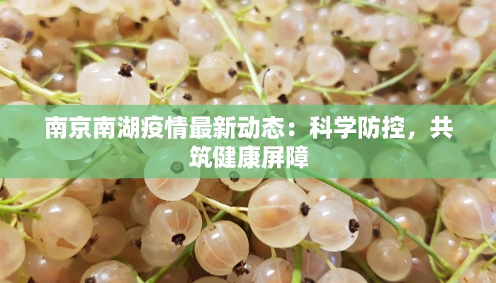 南京南湖疫情最新动态:科学防控,共筑健康屏障 南京南湖疫情最新动态:科学防控,共筑健康屏障