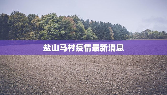 盐山马村疫情最新消息