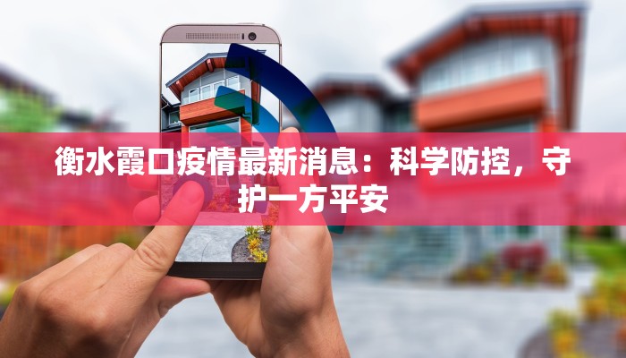衡水霞口疫情最新消息：科学防控，守护一方平安