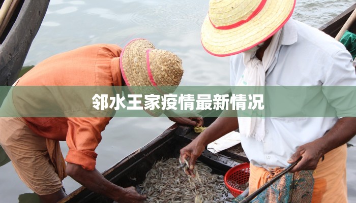 上海疫情最新自驾指南：安全出行，畅享自由