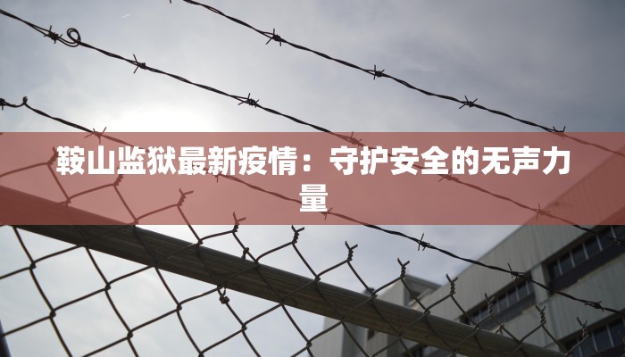 鞍山监狱最新疫情：守护安全的无声力量