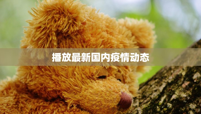 播放最新国内疫情动态