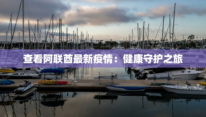 查看阿联酋最新疫情：健康守护之旅