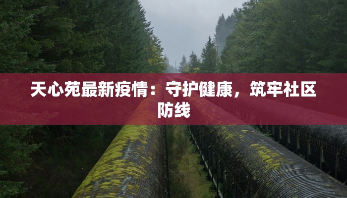 天心苑最新疫情:守护健康,筑牢社区防线 天心苑最新疫情:守护健康,筑牢社区防线