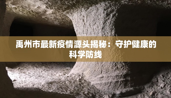 禹州市最新疫情源头揭秘:守护健康的科学防线 禹州市最新疫情源头揭秘:守护健康的科学防线