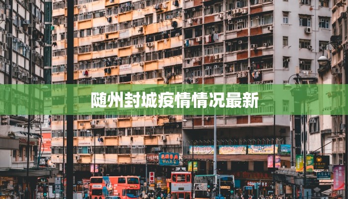 随州封城疫情情况最新