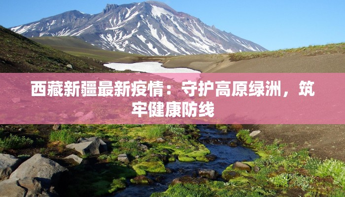 西藏新疆最新疫情：守护高原绿洲，筑牢健康防线